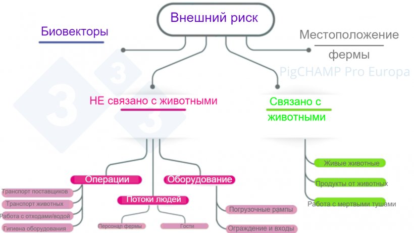 Фото 2. Диаграмма, анализирующая основные внешние факторы риска во время посещения фермы.
